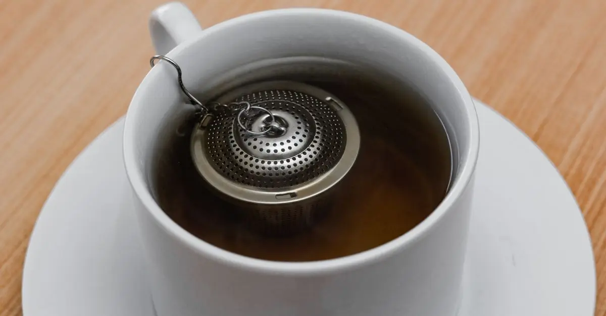 Guía de compra: Mejores infusores de té para el bienestar