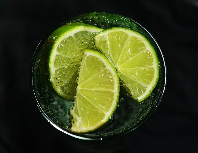 Mejor Infusión Detox: Guía de Compra Completa